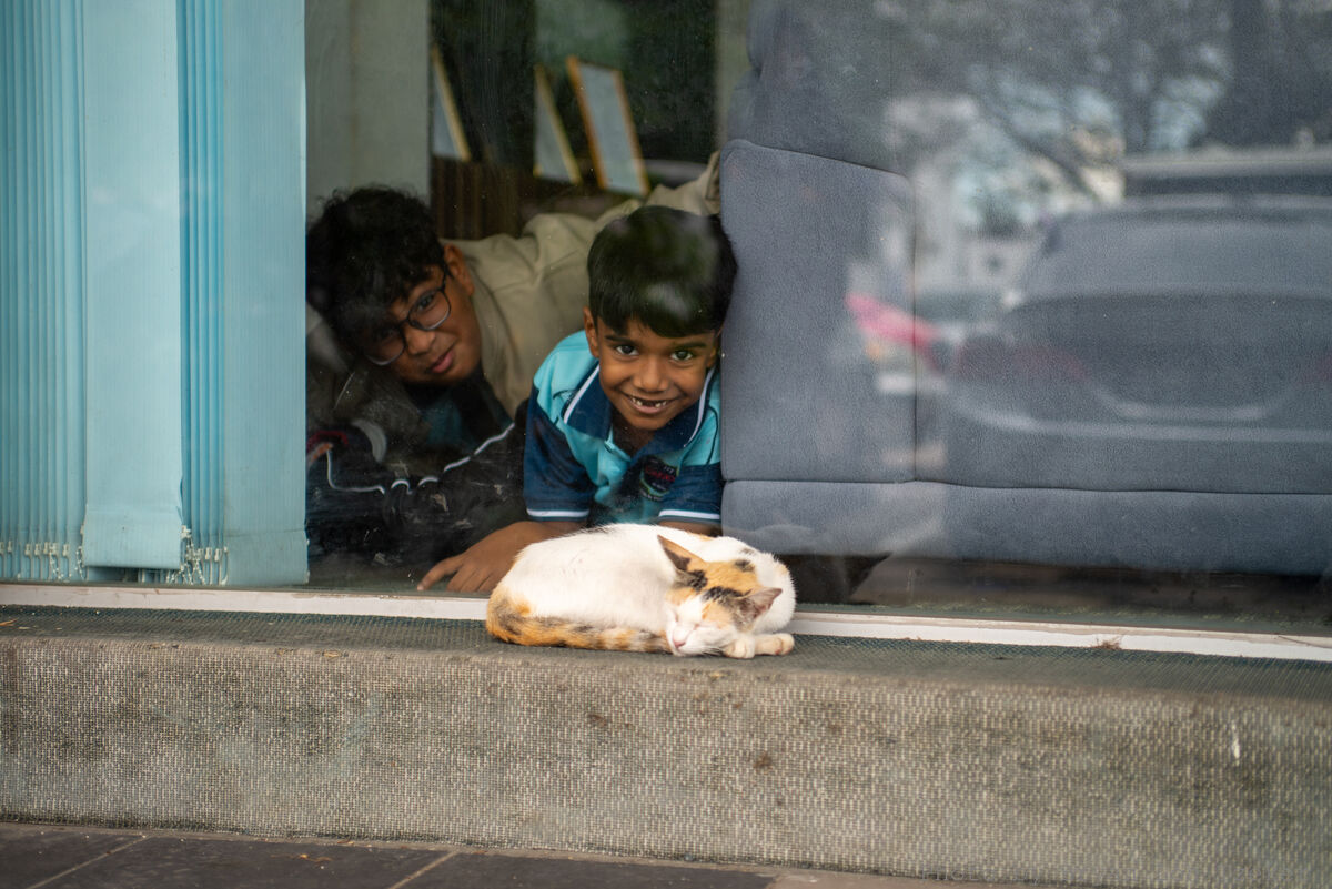 DuoWatchingSleepingCat-26