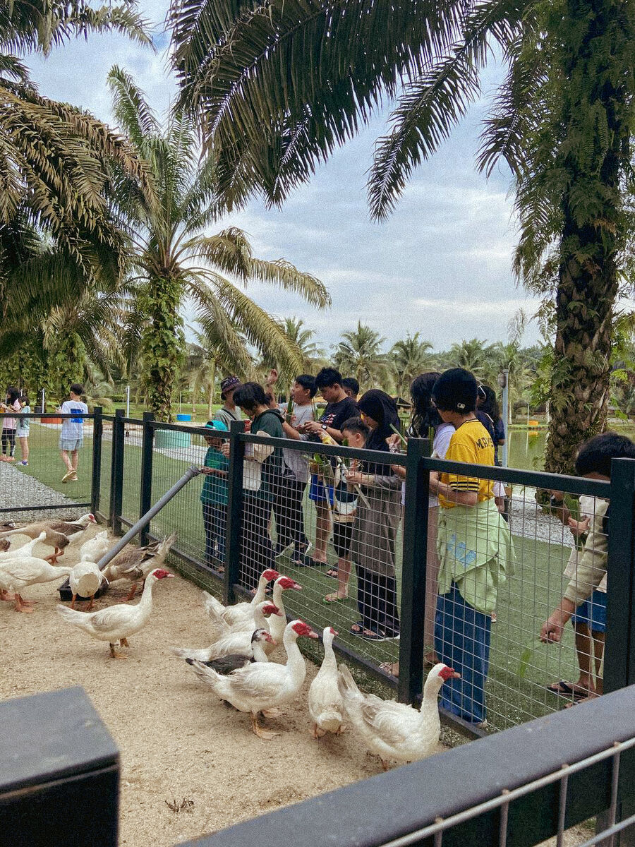 FieldTripGroupDucks-24