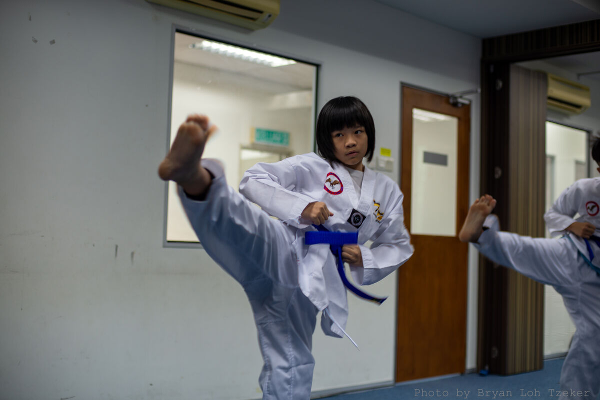 SoloTaekwondoKick-26