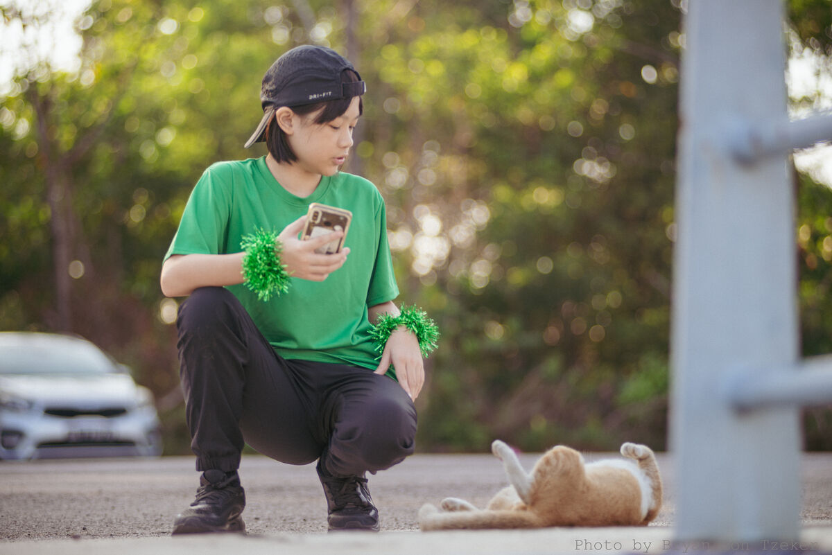 Studentpettingcatsportsbokeh2-26